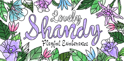 Shandy BF Font Poster 1