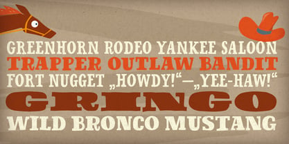 Oklahoma Pro Font Poster 3