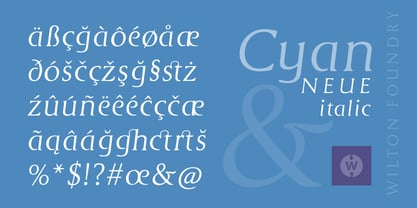 Cyan Neue Font Poster 11