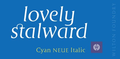 Cyan Neue Font Poster 12