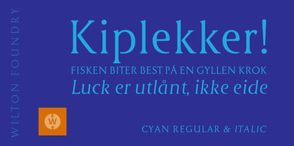 Cyan Neue Font Poster 15