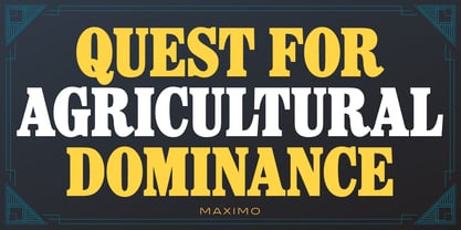 Maximo Font Poster 3