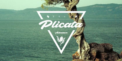 Plicata Font Poster 1