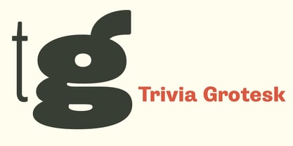 Trivia Grotesk Fuente Póster 1