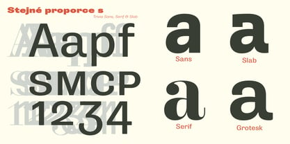 Trivia Grotesk Font Poster 5