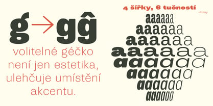 Trivia Grotesk Font Poster 6