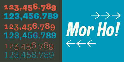 Trivia Grotesk Font Poster 3