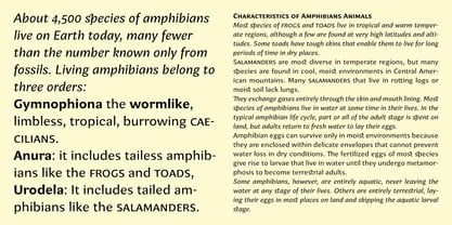 Amphibia Font Poster 9