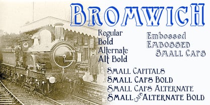 Bromwich Police Poster 1