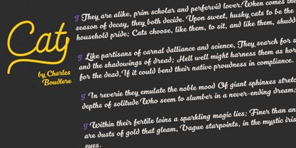 Kitten Font Poster 6
