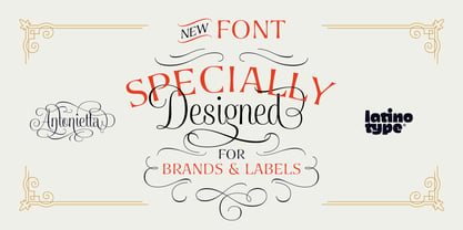 Antonietta Font Poster 12