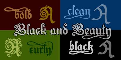 Black And Beauty Font Poster 3