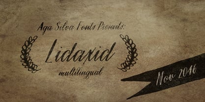 Lidaxid Font Poster 1