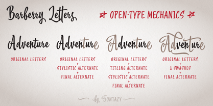 Burberry Script Font, Webfont & Desktop