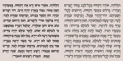 Hebrew Amanda Tanach Fuente Póster 5