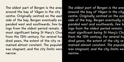 Bergen Sans Font Poster 6