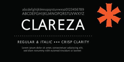 Clareza Font Poster 4
