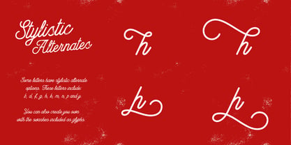 Bowline Script Font Poster 14