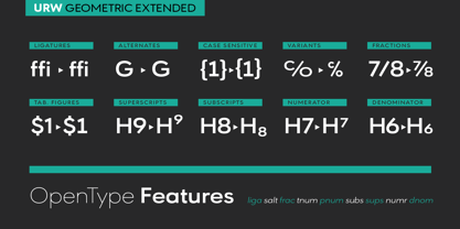 URW Geometric Extended Font Poster 4