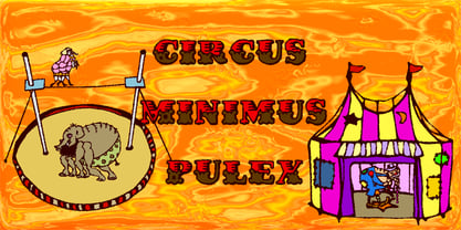 Circus Minimus Pulex Font Poster 2