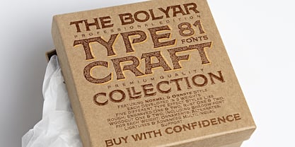 FM Bolyar TypeCraft Font Poster 9