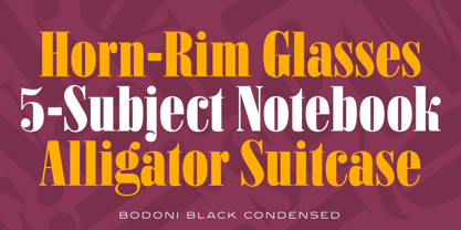 Bodoni Black Condensed Font Poster 3