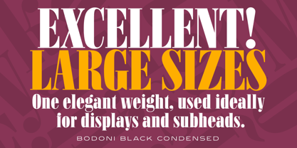 Bodoni Black Condensed Font Poster 4