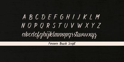 Forever Brush Script Font Poster 4