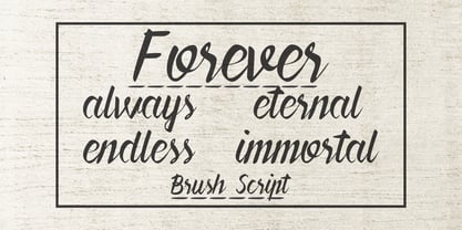 Forever Brush Script Font Poster 5