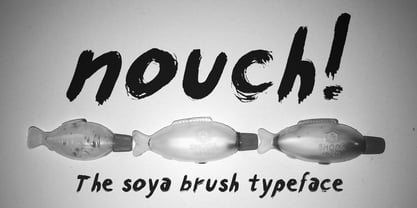 Nouch Font Poster 2