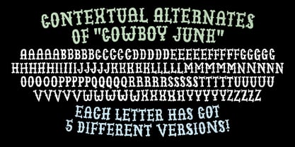 Cowboy Junk Font Poster 2