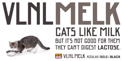 VLNL Melk Font Poster 8