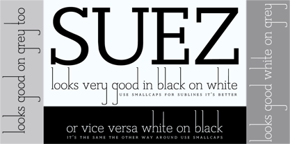 Suez Font Poster 2