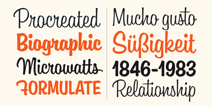 Boutiera Font Poster 7