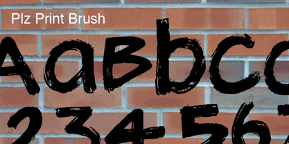 Plz Print Brush Font Poster 1