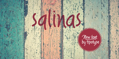Salinas Font Poster 20