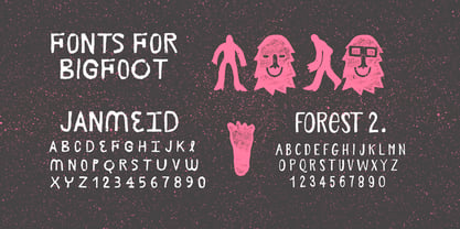 Big Foot Forest Font Poster 3