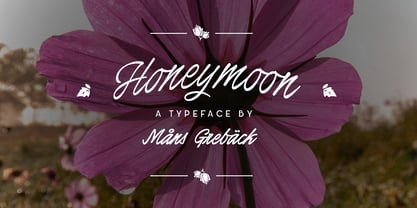 Honeymoon Font Poster 1