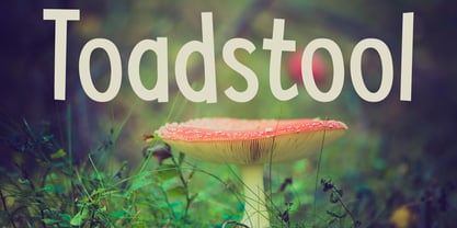 Toadstool Fuente Póster 1