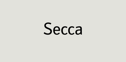 Secca Font Poster 6