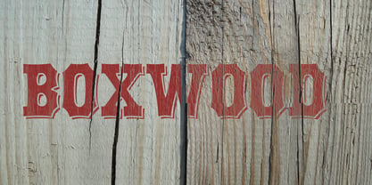 Boxwood Font Poster 3