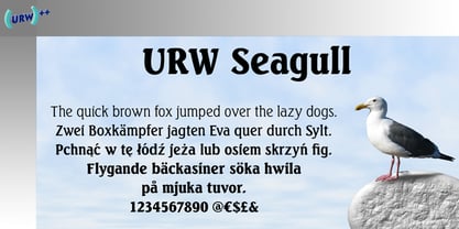 Seagull Font Poster 1