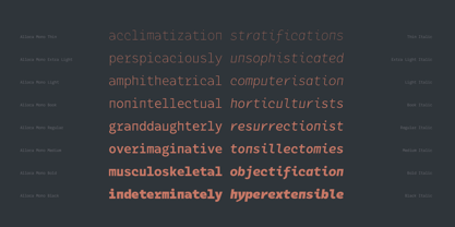 Alloca Mono Font Poster 2