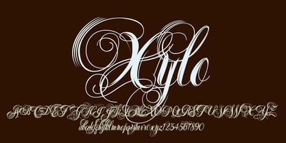 Xylo Script Font Poster 1