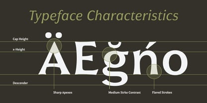 Civane Font Poster 4