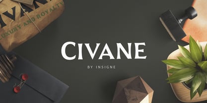 Civane Fuente Póster 8