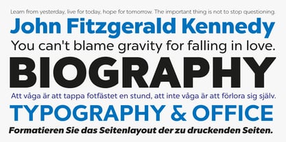 Chronica Pro Font Poster 4