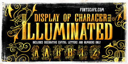 Display Of Character Font Poster 2