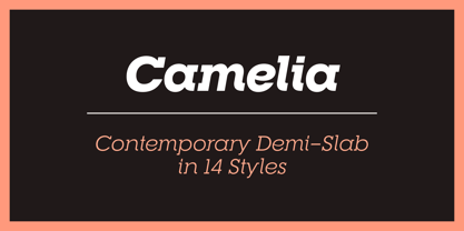 RNS Camelia Font Poster 1