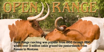 Open Range Font Poster 1